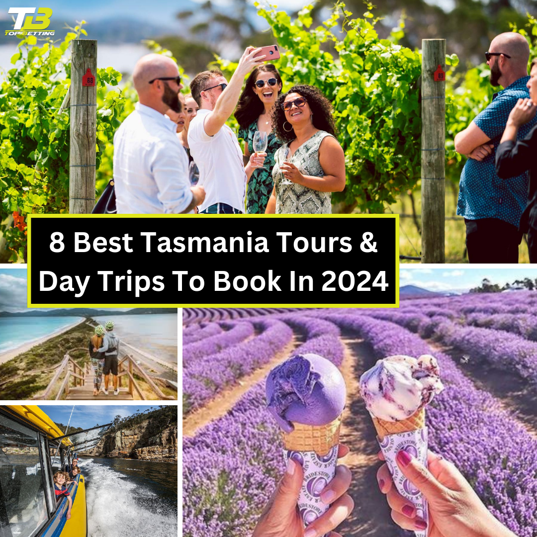 8 Best Tasmania Tours & Day Trips To Book In 2024